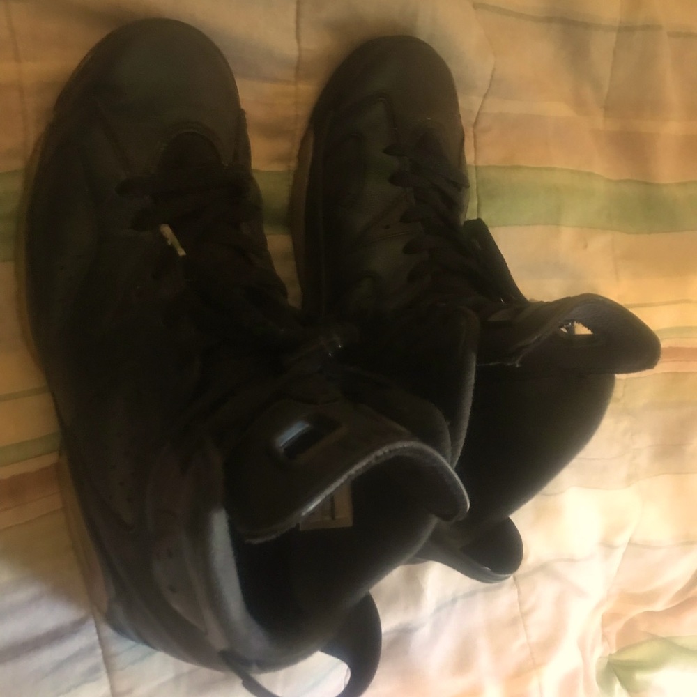 Retro 6 chameleon